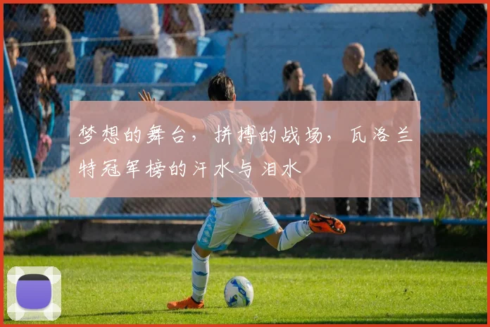梦想的舞台,拼搏的战场,瓦洛兰特冠军榜的汗水与泪水
