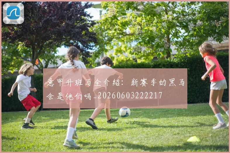 意甲升班马全介绍：新赛季的黑马会是他们吗_20260603222217